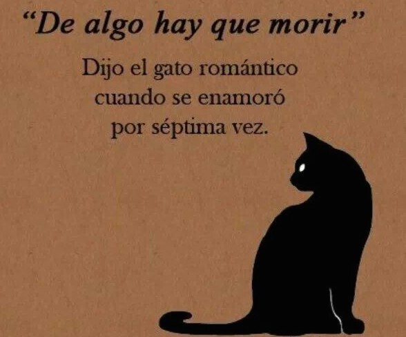 dealgomorir