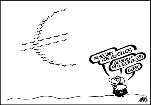cuesta-de-enero